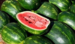 娱乐吃瓜素材图片大全集,吃瓜素材图片大全集